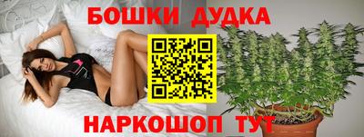 эйфоретик Новозыбков