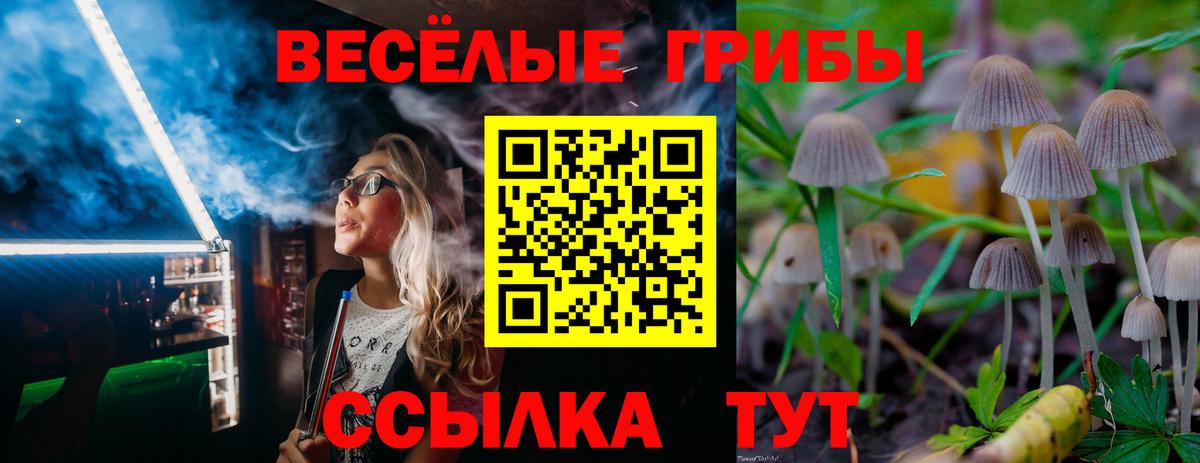 Псилоцибиновые грибы Psilocybine cubensis  Галлюциногенные грибы мицелий  Вход с VPN  купить   Строитель 